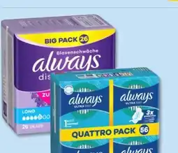 PENNY Always Discreet Big Pack Angebot