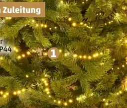 PENNY LED Lichterkette Angebot