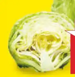 Netto Marken-Discount MarktTag Eisbergsalat Angebot