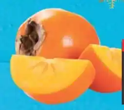 E-Center Kaki Angebot