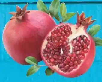 E-Center Granatapfel Angebot