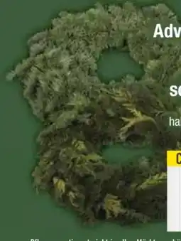 E-Center Adventskränze Angebot