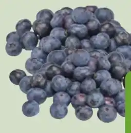 Edeka Xpress Bio-Heidelbeeren Angebot