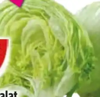 Edeka Gut & Günstig Eisbergsalat Angebot