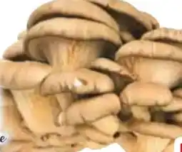 Edeka Edeka Herzstücke Austernpilze Angebot