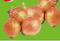 Edeka Gut & Günstig Zwiebeln Angebot