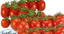 Edeka SanLucar Mini-Pflaumentomaten Angebot