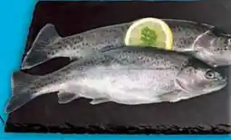 E-Center Frische Forelle Angebot