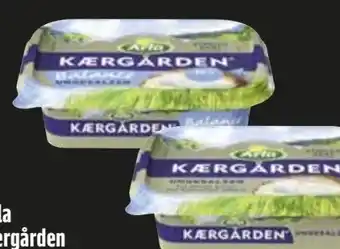 Edeka Arla Kaergarden Angebot