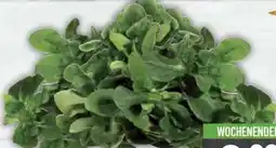 E-Center Feldsalat Angebot