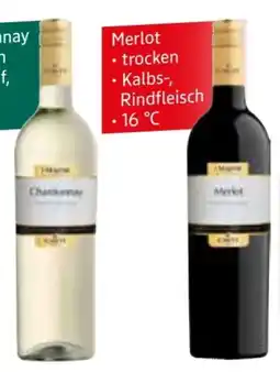 Edeka Cavit Pinot Grigio Angebot
