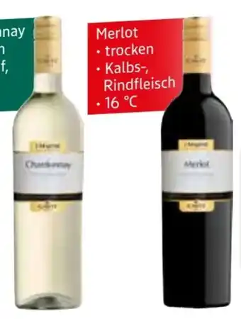 Edeka Cavit Pinot Grigio Angebot