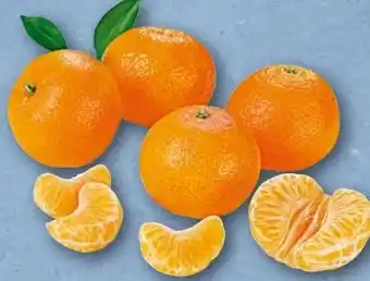 nahkauf Mandarinen Angebot