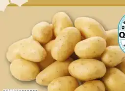 REWE Rewe Regional Speisekartoffeln Angebot