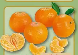 REWE Clementinen Angebot