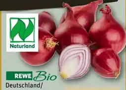 REWE Center Rewe Bio Bio-Speisezwiebeln Angebot