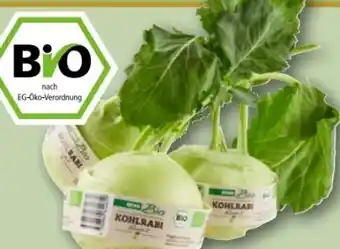 REWE Rewe Bio Kohlrabi Angebot