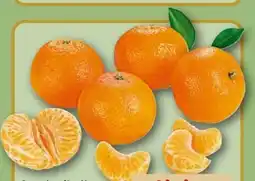 REWE Center Clementinen Angebot