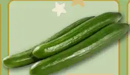 REWE Center Salatgurke Angebot