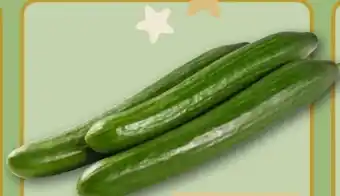 REWE Center Salatgurke Angebot