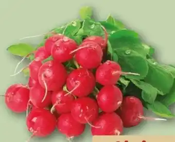 REWE Radieschen Angebot