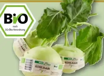 REWE Center Rewe Bio Kohlrabi Angebot