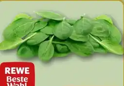REWE Rewe Beste Wahl Baby Spinat Angebot