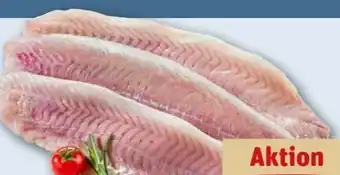 REWE Center Seelachsfilet Angebot