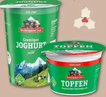 REWE Center Berchtesgadener Land Cremiger Joghurt Angebot