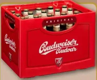 REWE Center Budweiser Budvar (CZ) Czech Premium Lager Angebot