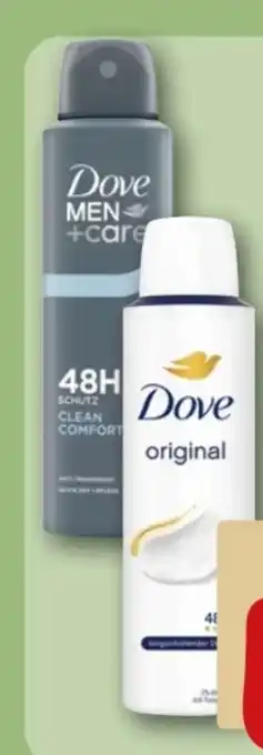 REWE Center Dove Deospray Angebot