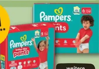 REWE Center Pampers Baby-Dry Pants Angebot