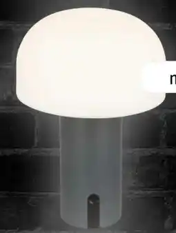 REWE Center Vivess LED-Tischlampe Angebot