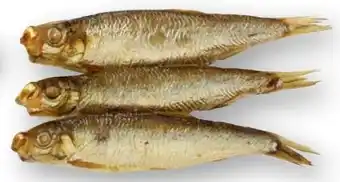 Scheck-in-Center Kieler Sprotten Angebot