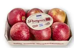 Scheck-in-Center Äpfel Pompur Angebot