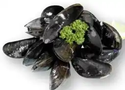 Scheck-in-Center Premium Nordsee Muscheln Angebot