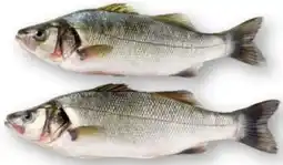 Scheck-in-Center Frischer Wolfsbarsch Angebot