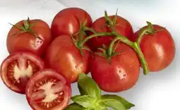 Scheck-in-Center Rispentomaten Angebot