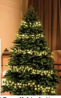 Scheck-in-Center LED-Baumlichterkette Christmas Angebot