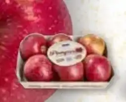 Edeka Äpfel Pompur Angebot