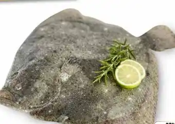 Edeka Steinbutt Angebot