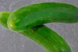 Edeka Frischemarkt Mini Gurke Angebot