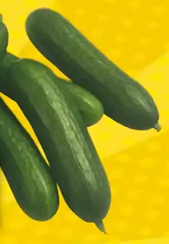 EDEKA Bandelt Mini Gurke Angebot