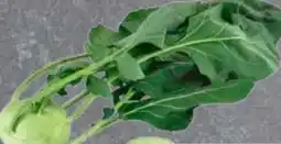 Edeka Frischemarkt Kohlrabi Angebot