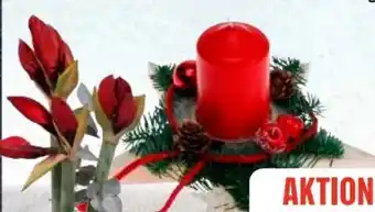 Edeka Adventsgestecke Angebot