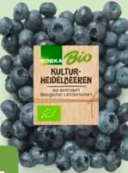 Edeka Edeka Bio Bio-Kulturheidelbeeren Angebot