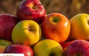 Edeka Bio Tafeläpfel Angebot