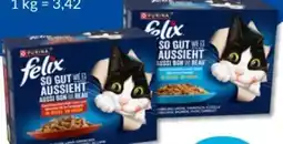 Budni Purina Felix Katzennahrung Angebot