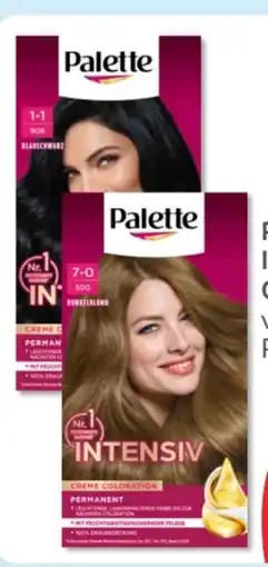 Budni Palette Intensive-Creme-Coloration Angebot