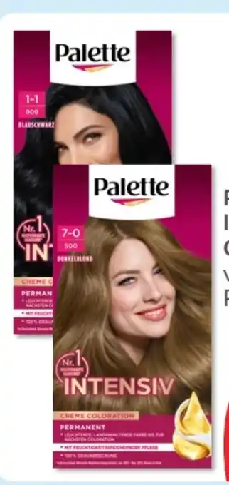 Budni Palette Intensive-Creme-Coloration Angebot